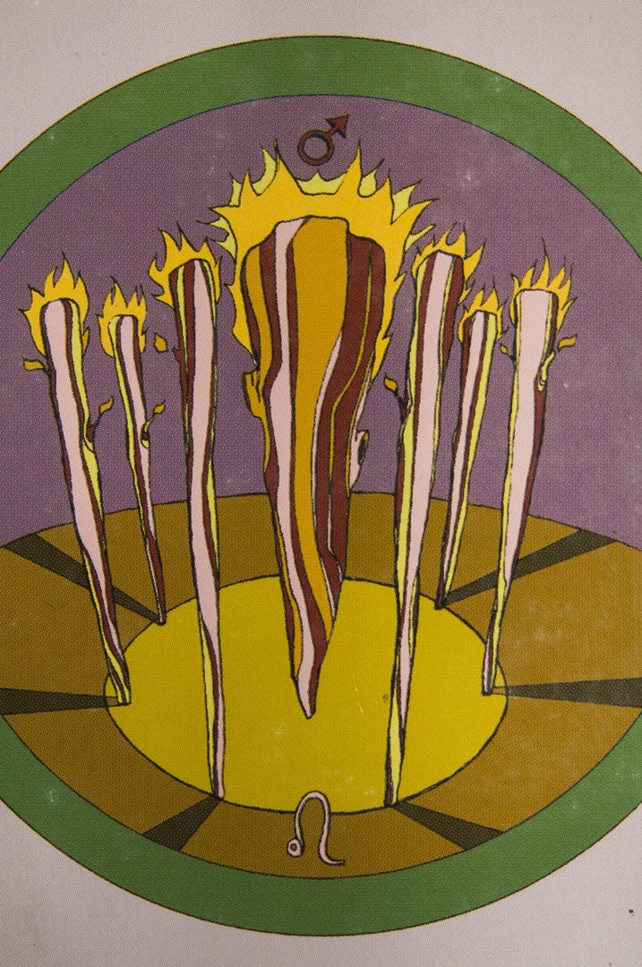 7 of Wands